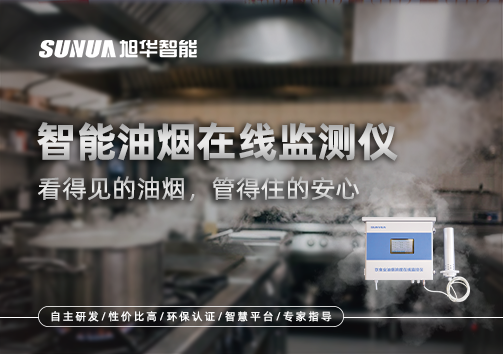 智能油烟在线监测仪：看得见的油烟，管得住的安心